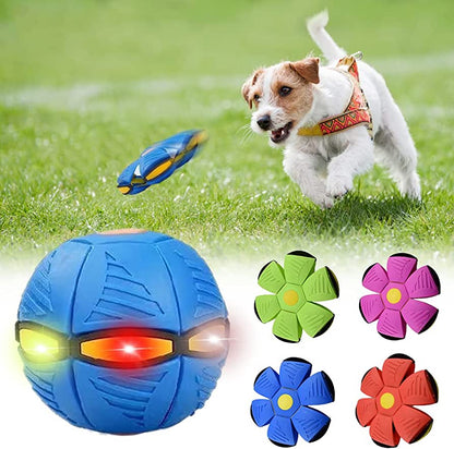 Rutland™ Dog Frisbee